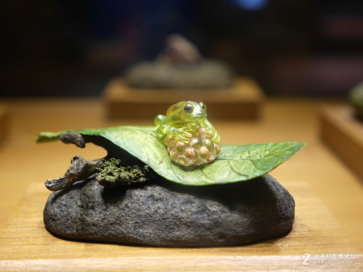 上海自然博物馆