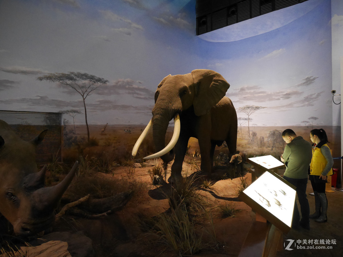 上海自然博物馆