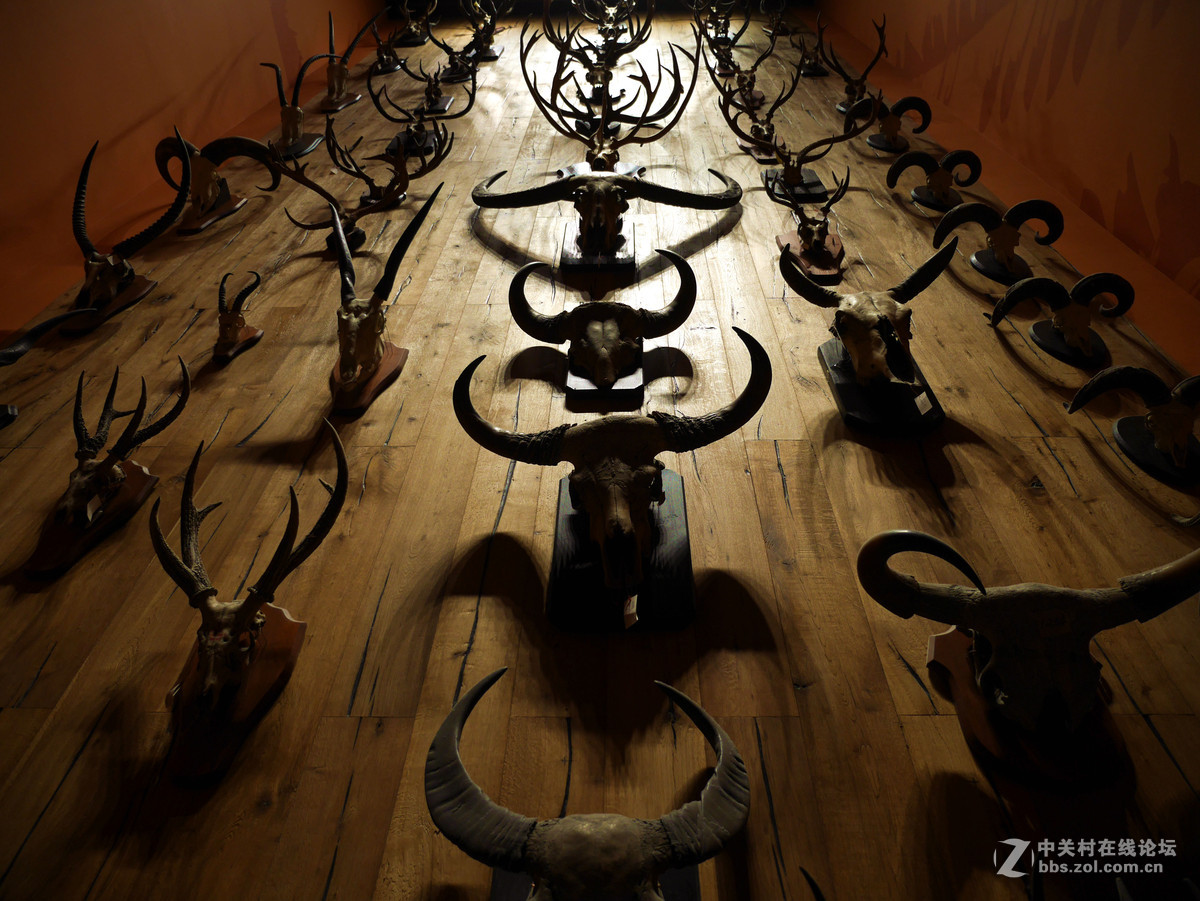 上海自然博物馆