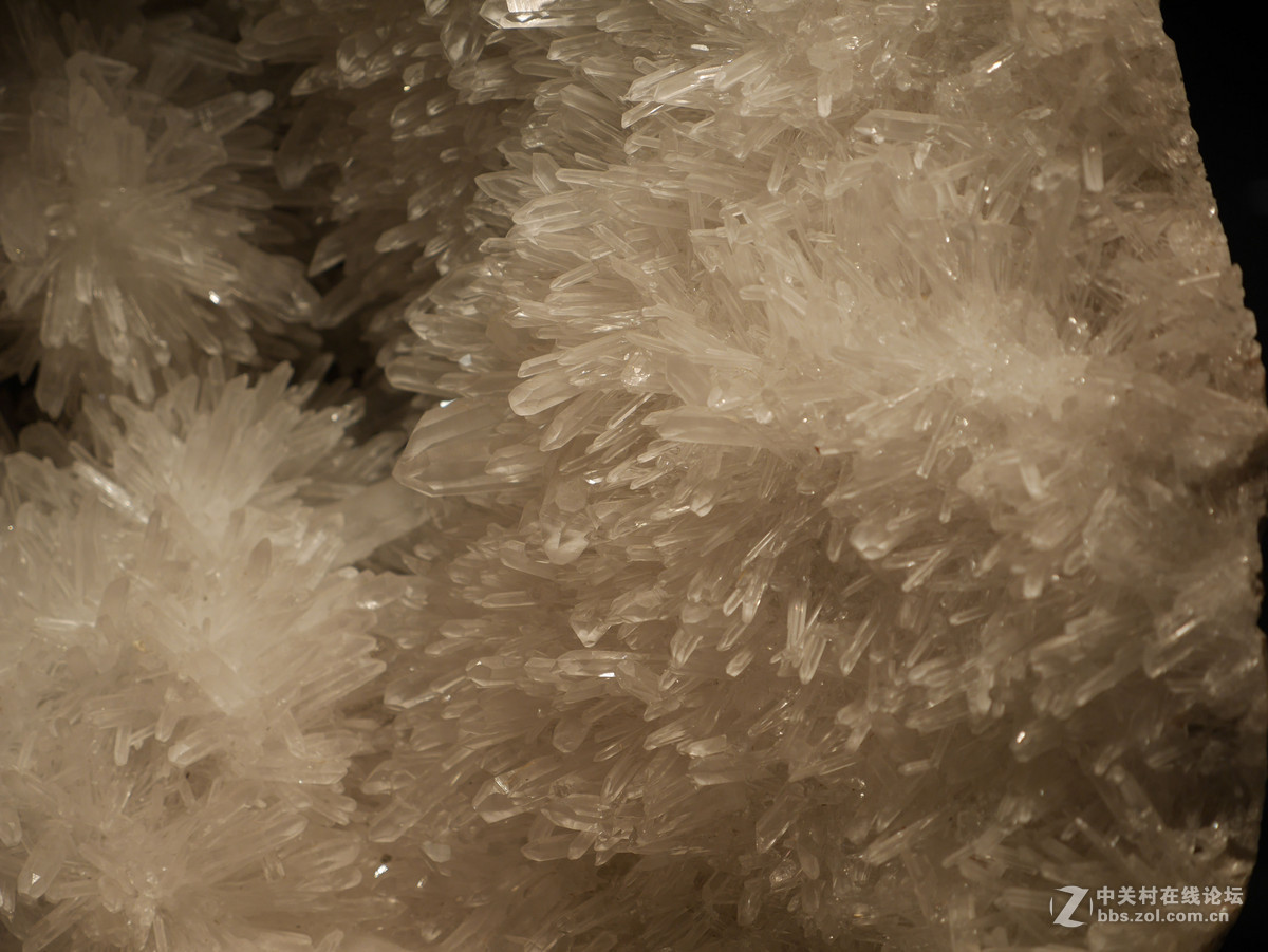 上海自然博物馆