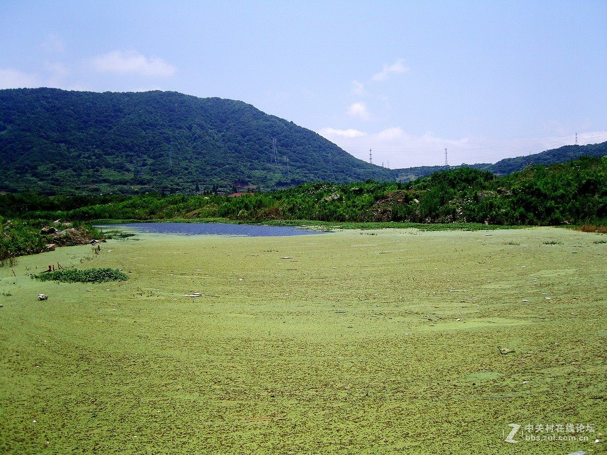 十年前的蓝调NV10今拍摄