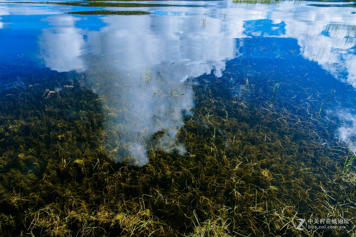 香格里拉。普达措