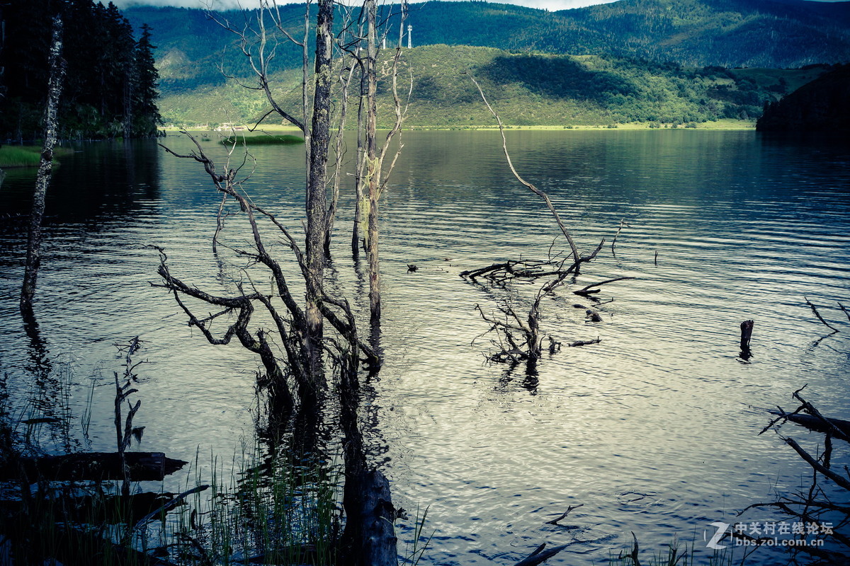 香格里拉。普达措