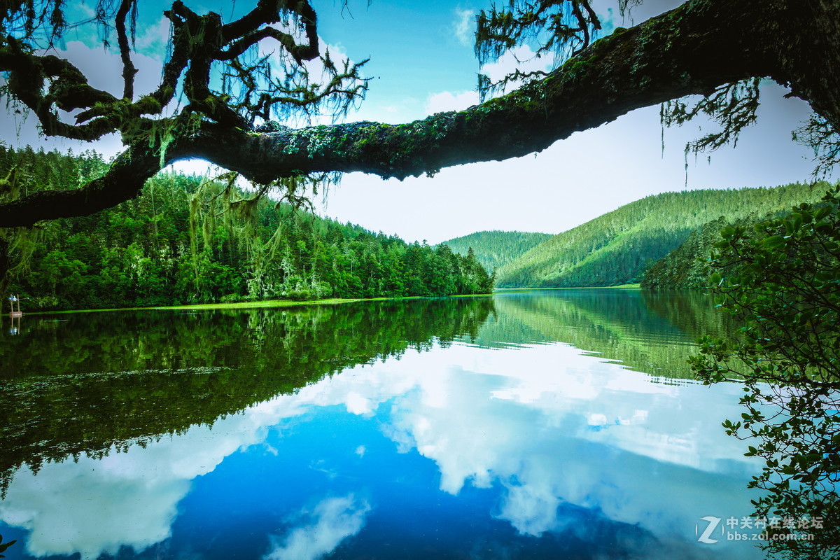 香格里拉。普达措