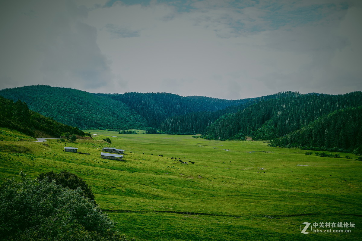 香格里拉。普达措