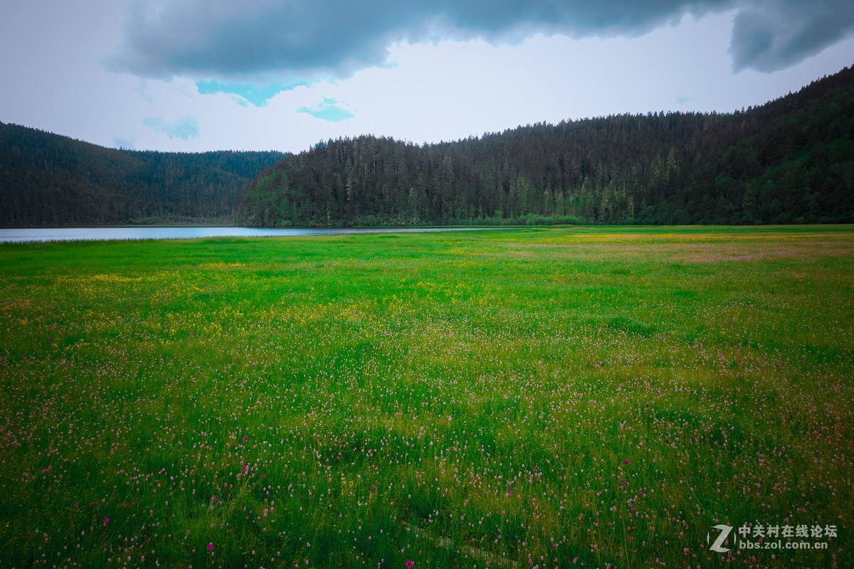 香格里拉。普达措