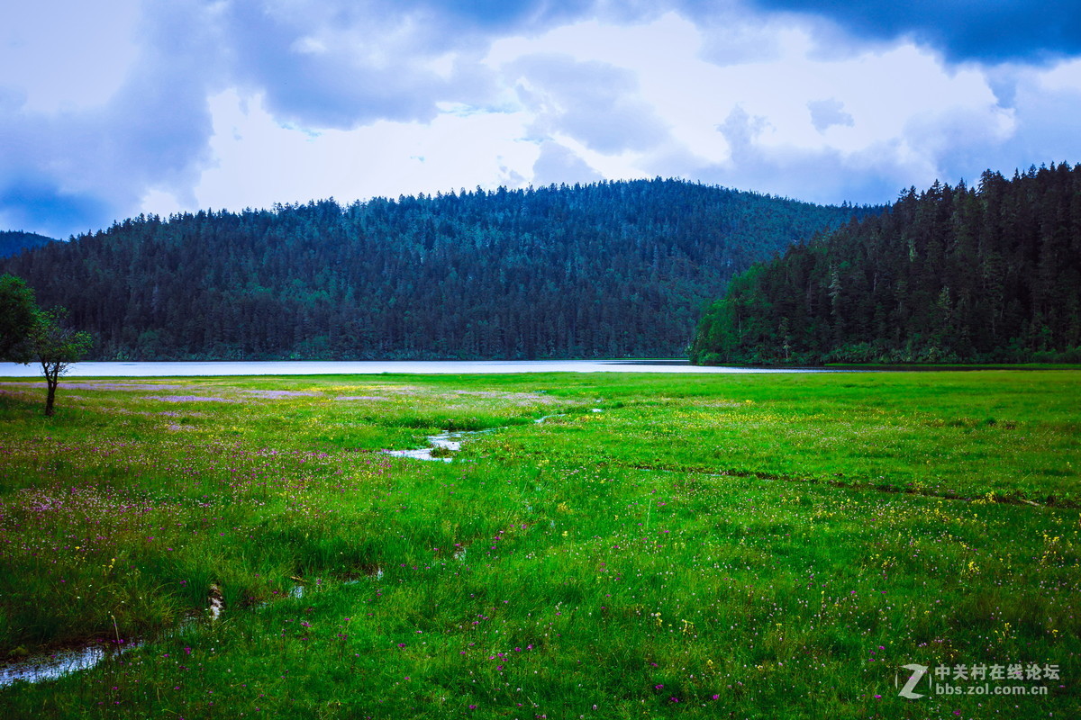 香格里拉。普达措
