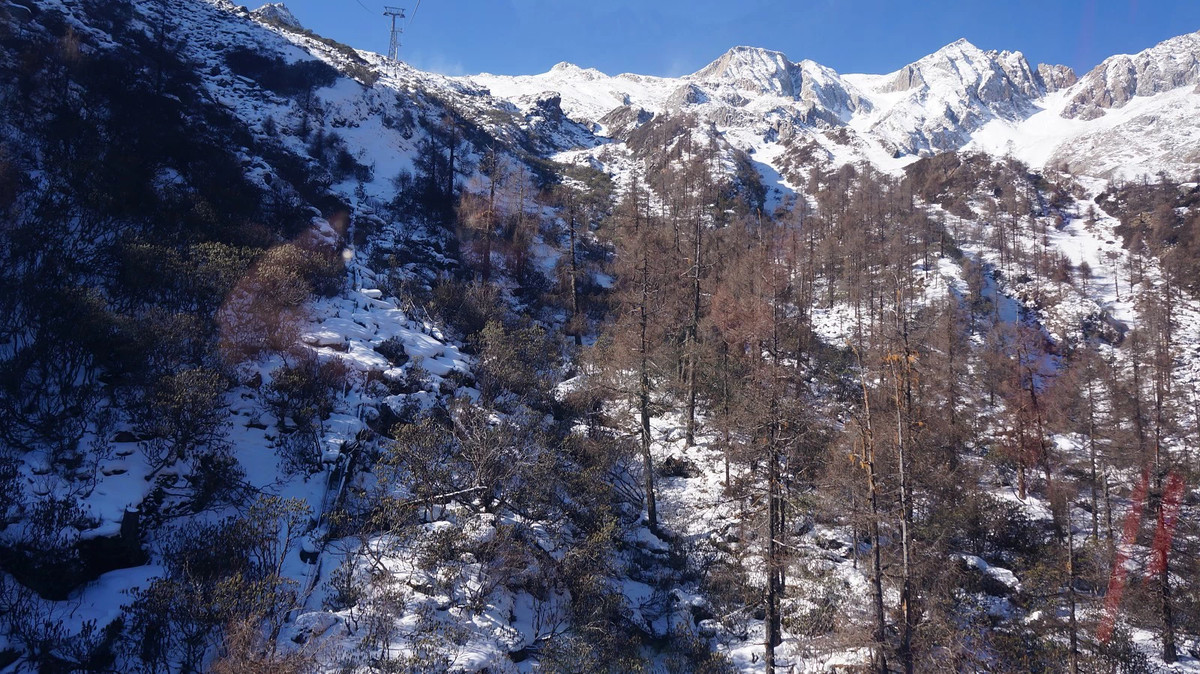 nex5r最近的遥远