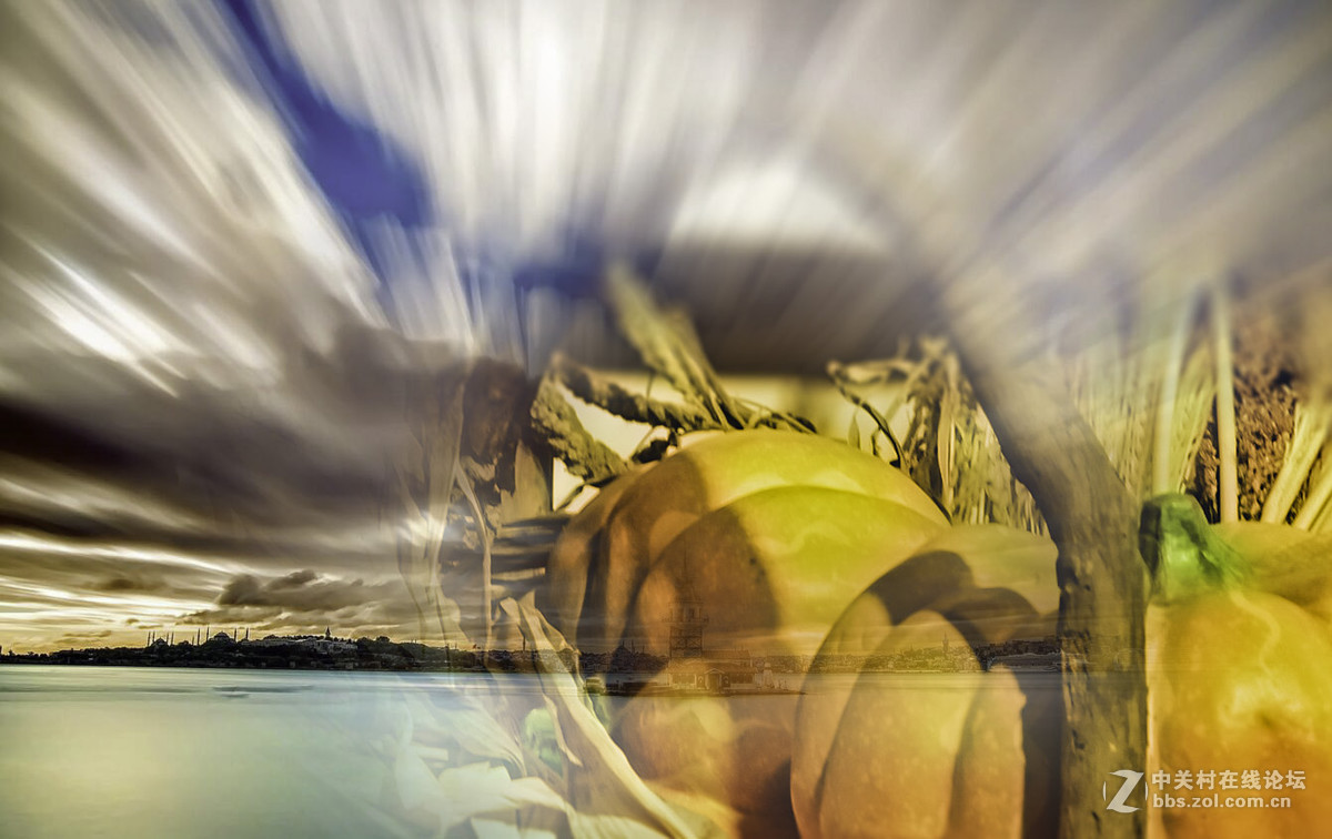 一组治愈系图片