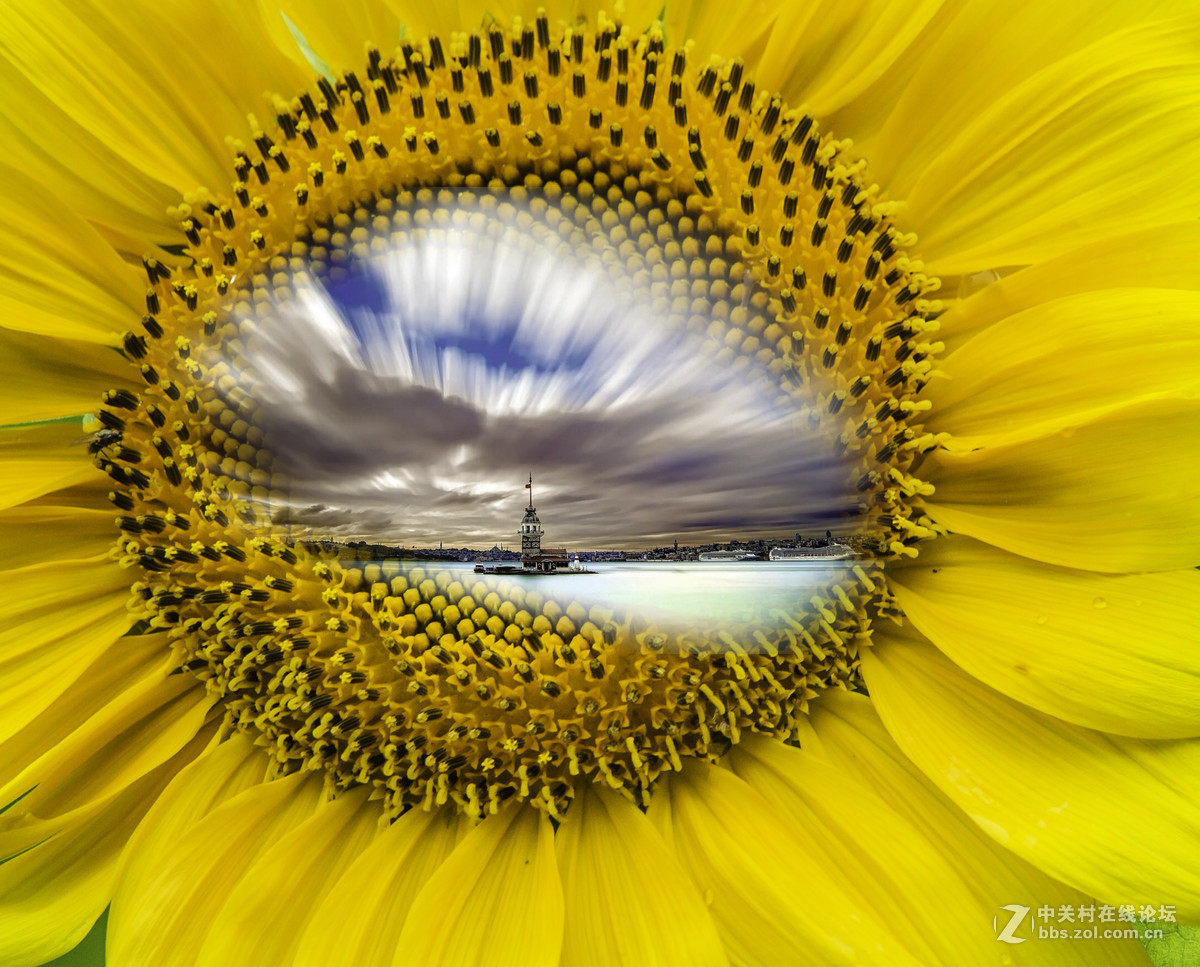 一组治愈系图片