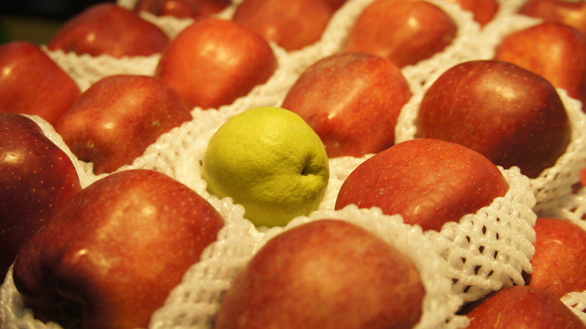 2016.12 随走随拍