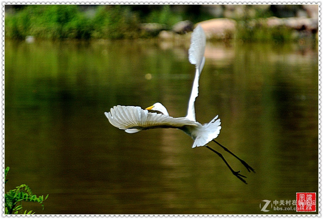 [西山湖公园——随拍]（1）