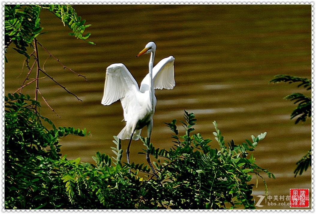 [西山湖公园——随拍]（1）