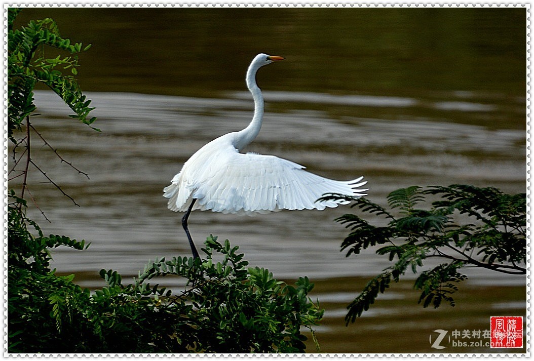 [西山湖公园——随拍]（1）