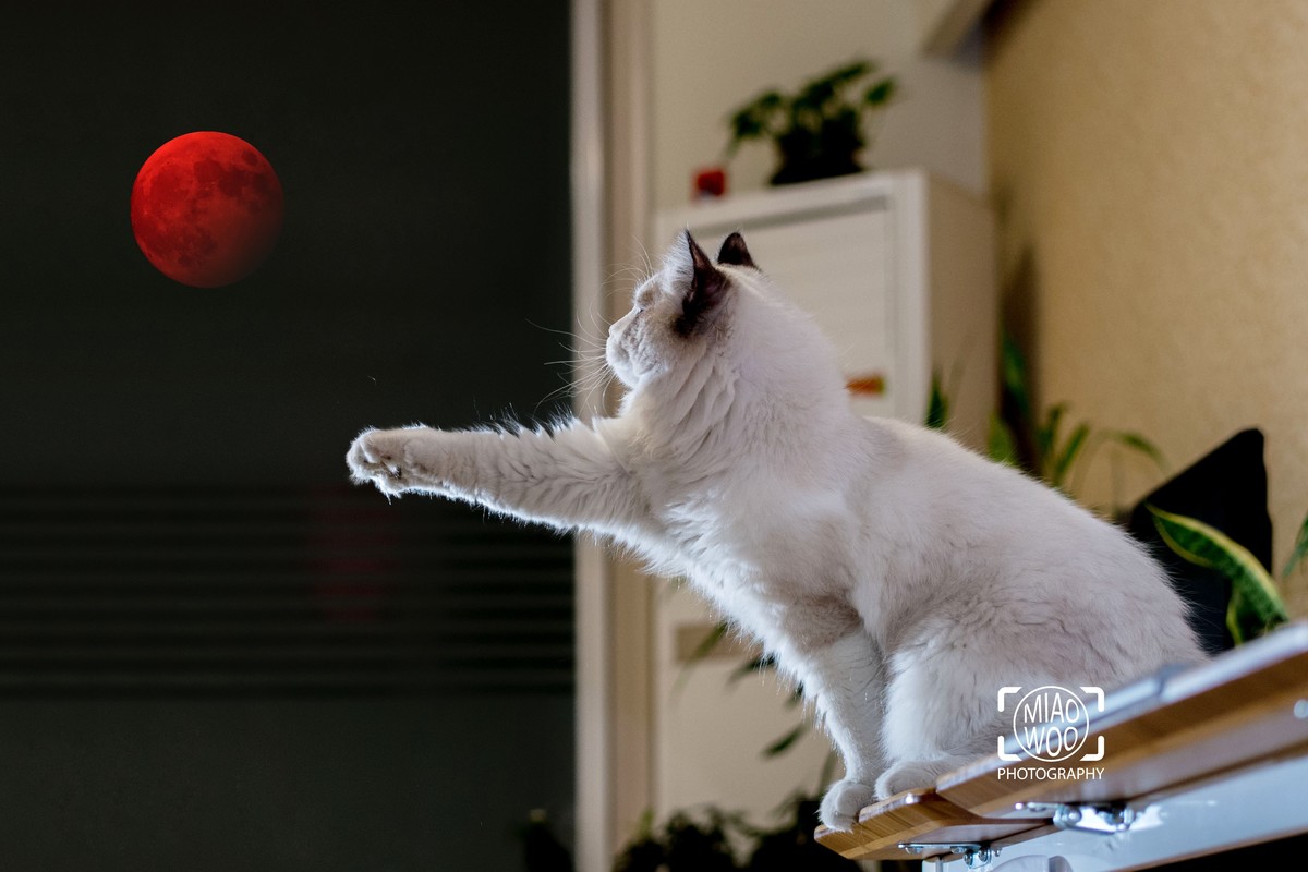 身体倍棒，哈哈