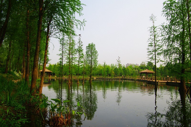 重慶十大公園之秀湖