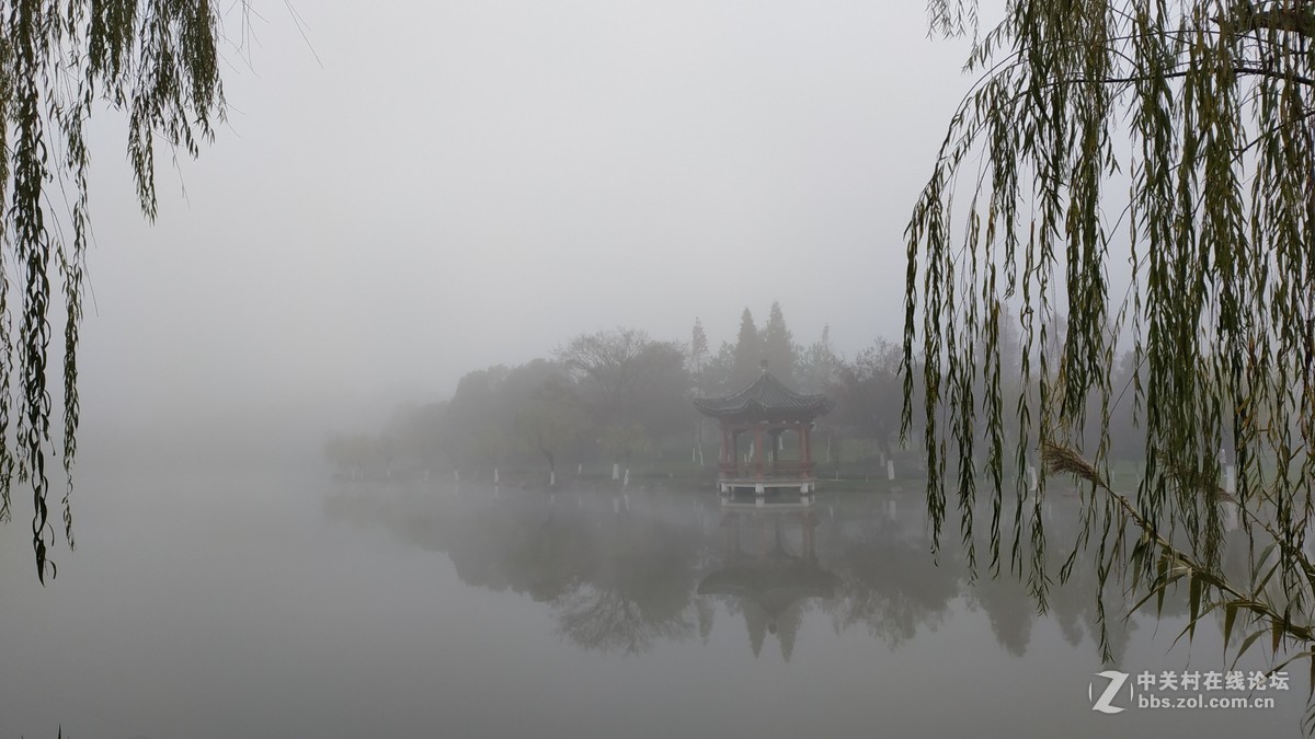 雾中仙境