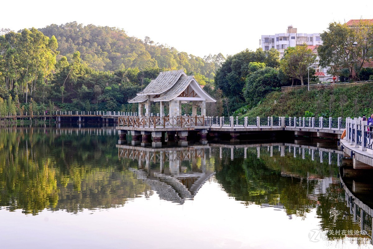 D610+适马50 1.4一代