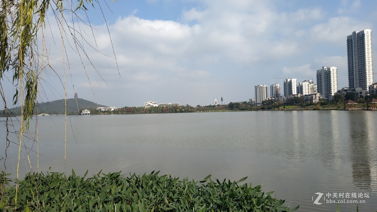 手机拍摄的生态公园