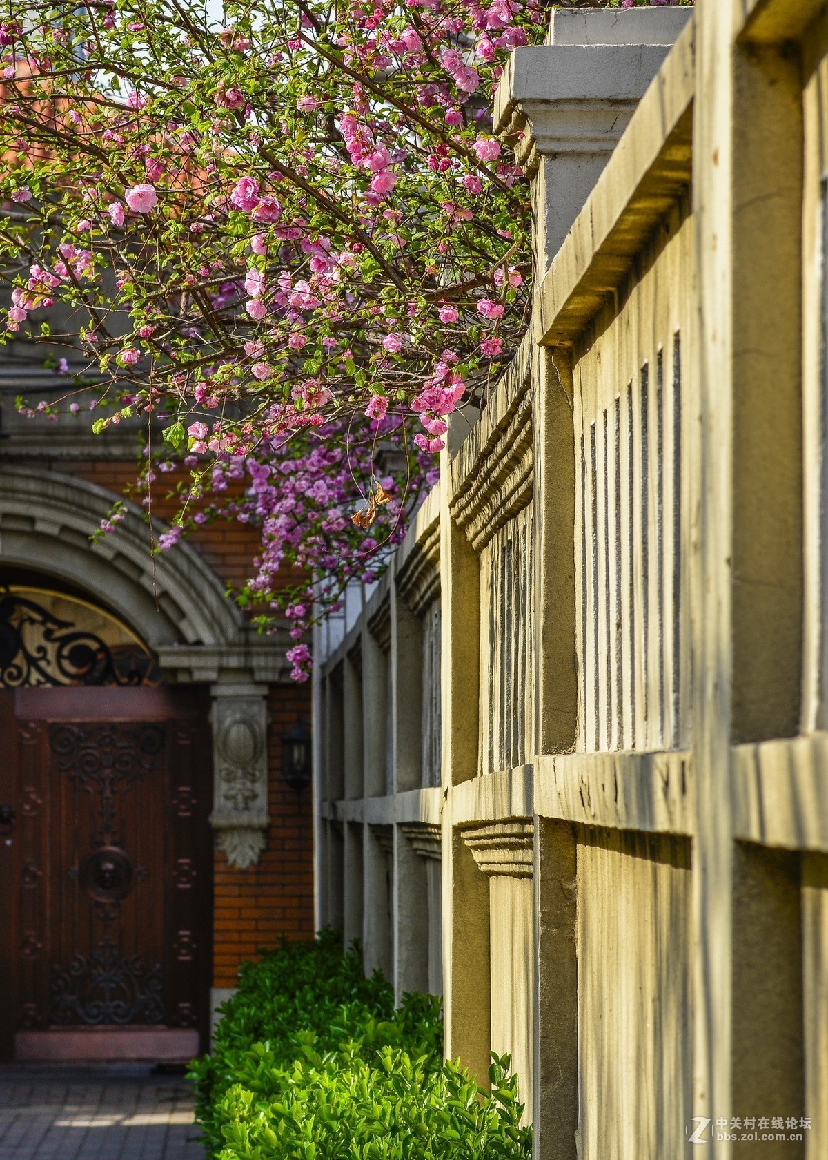 天津五大道街景随拍-中关村在线摄影论坛