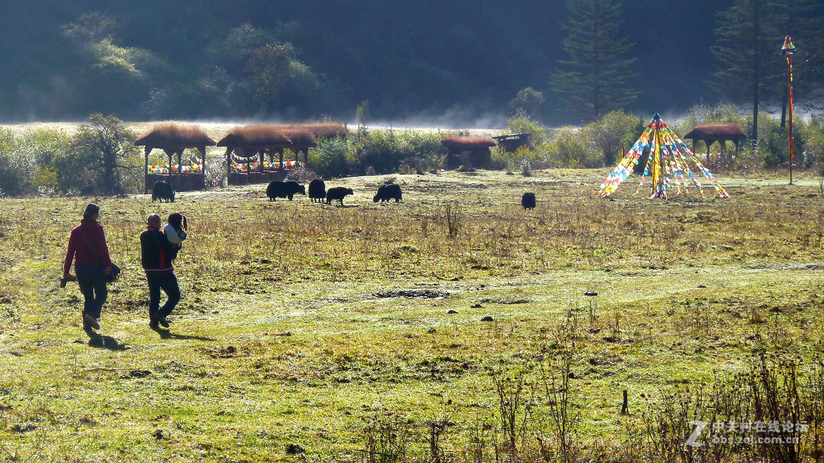 川西行的最后篇章——沿途风光