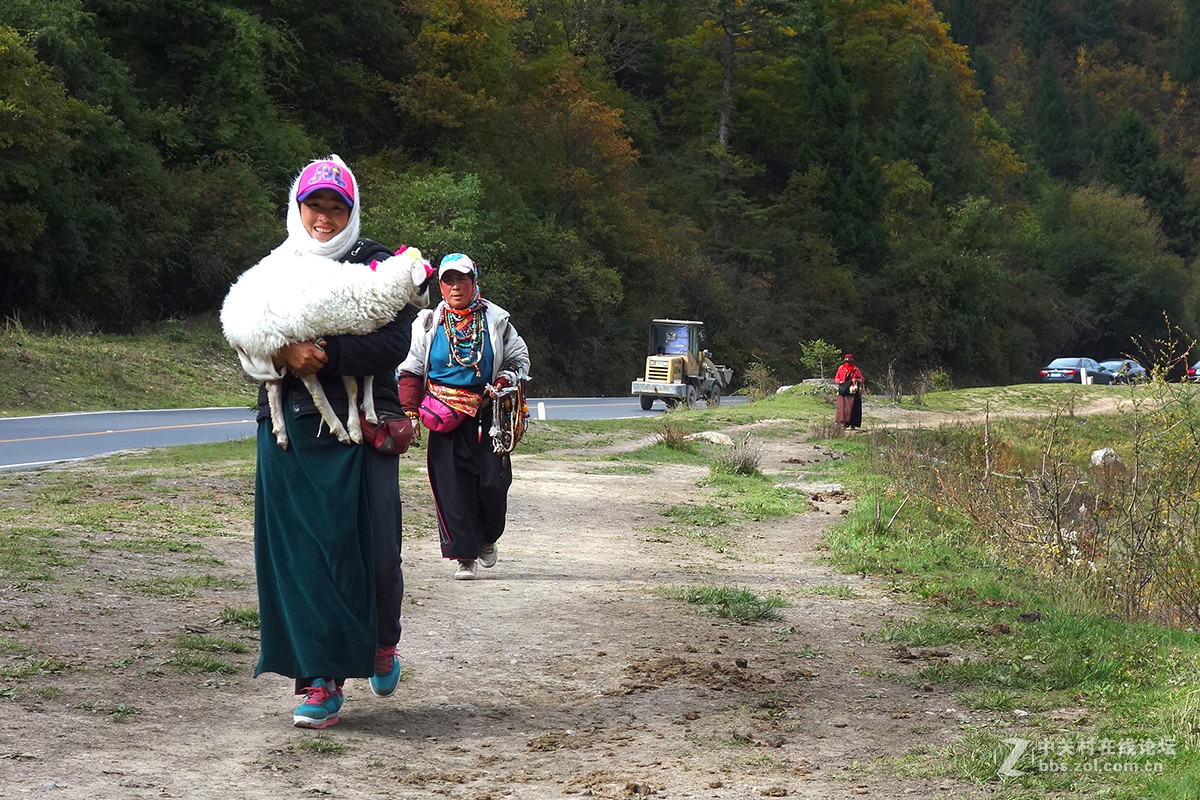 川西行的最后篇章——沿途风光