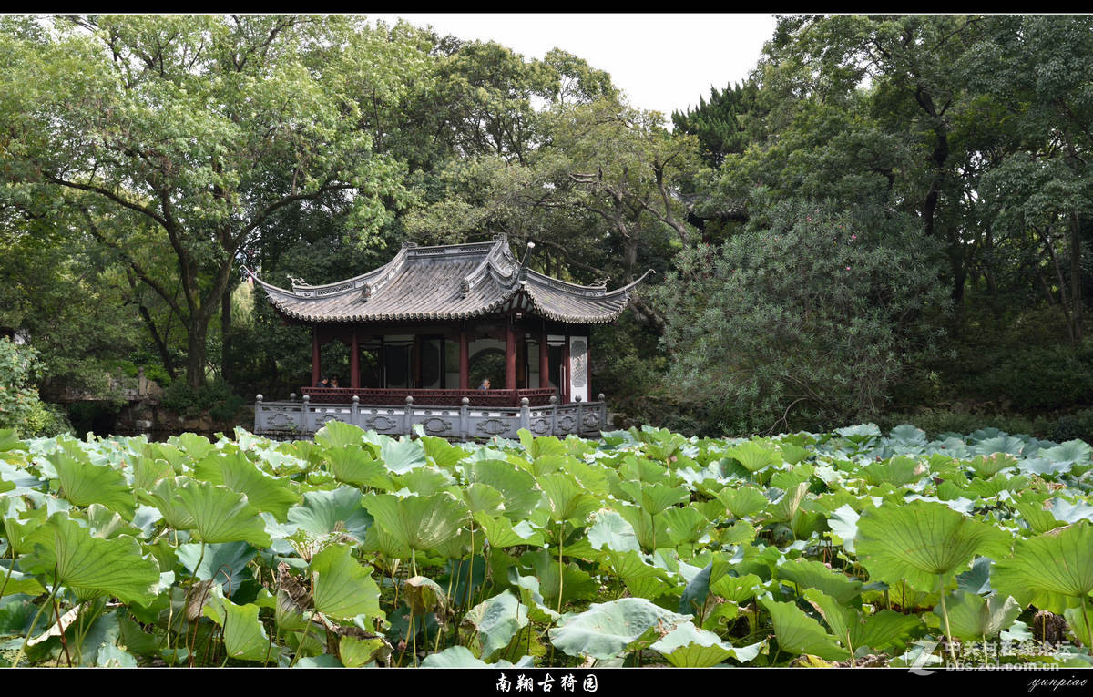 上海南翔古猗園