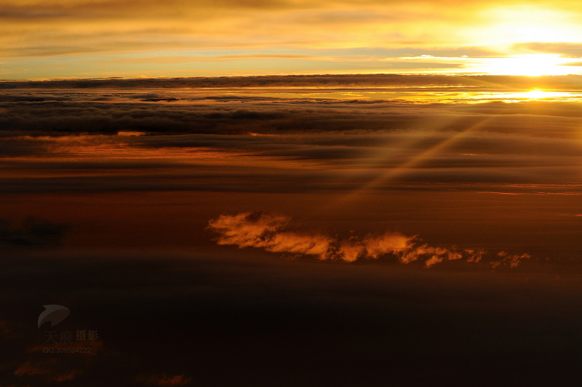 飞机上的日出