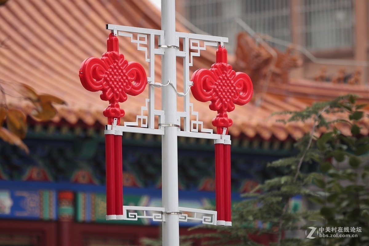 #佳能月赛-金秋十月#十月的色彩(二)