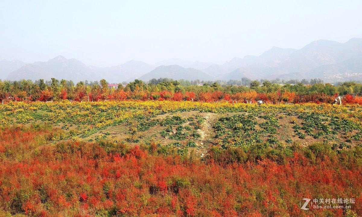 #佳能月赛-金秋十月#十月的色彩(二)