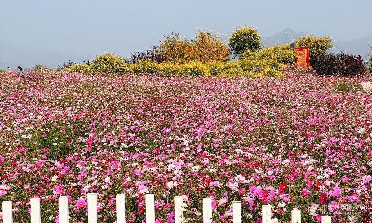 #佳能月赛-金秋十月#十月的色彩(二)