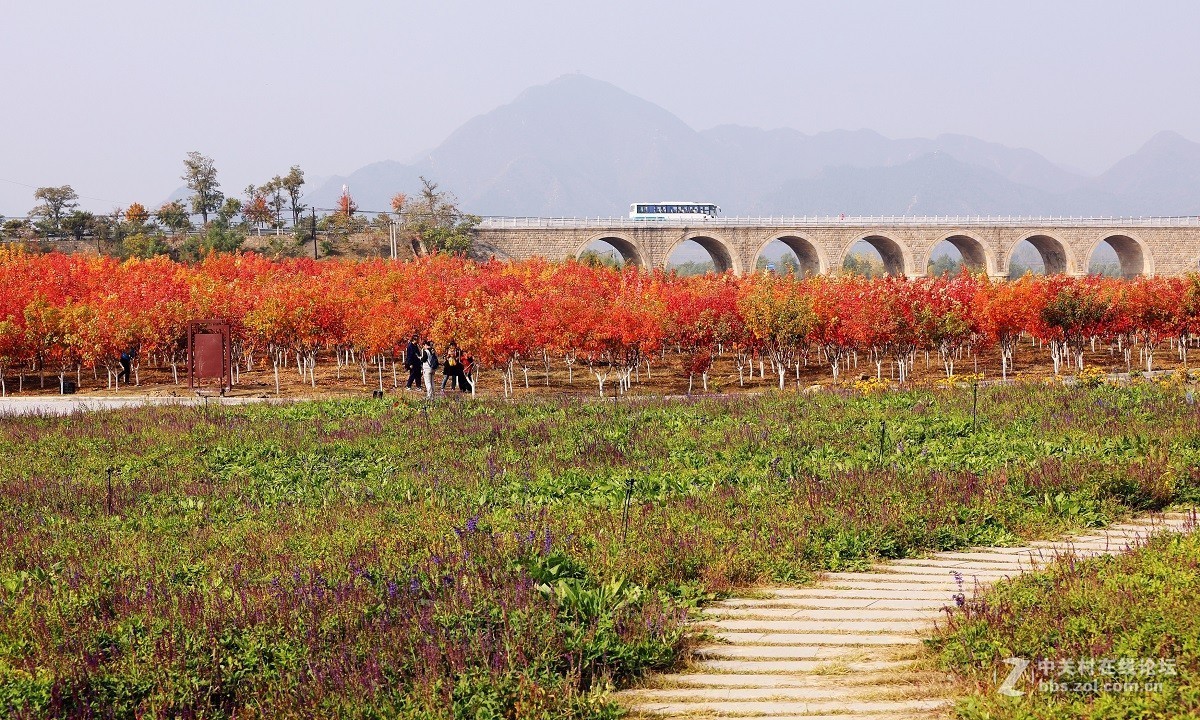 #佳能月赛-金秋十月#十月的色彩(二)