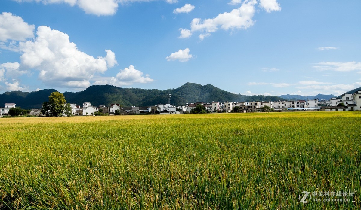 黟县西递古村落