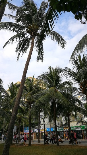 椰风三亚（华为P10plus）