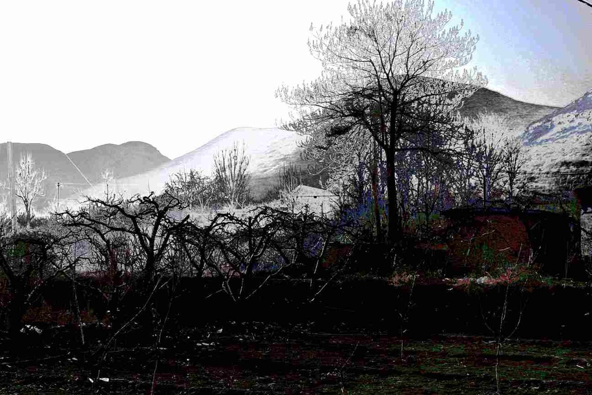 马中文达思-神星柿子沟系列