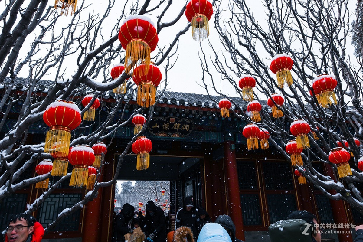 雪中的红灯笼-中关村在线摄影论坛