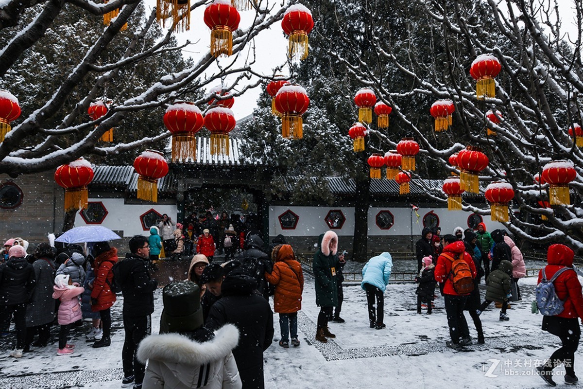 雪中的红灯笼-中关村在线摄影论坛