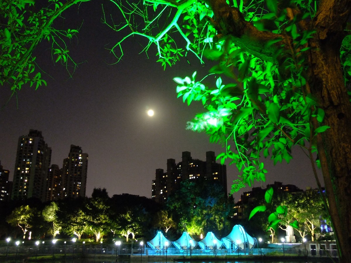 五色苏河----月色（本集终）