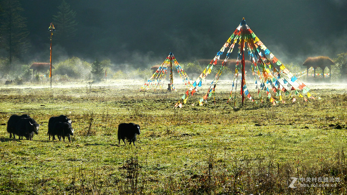 川西行的最后篇章——沿途风光