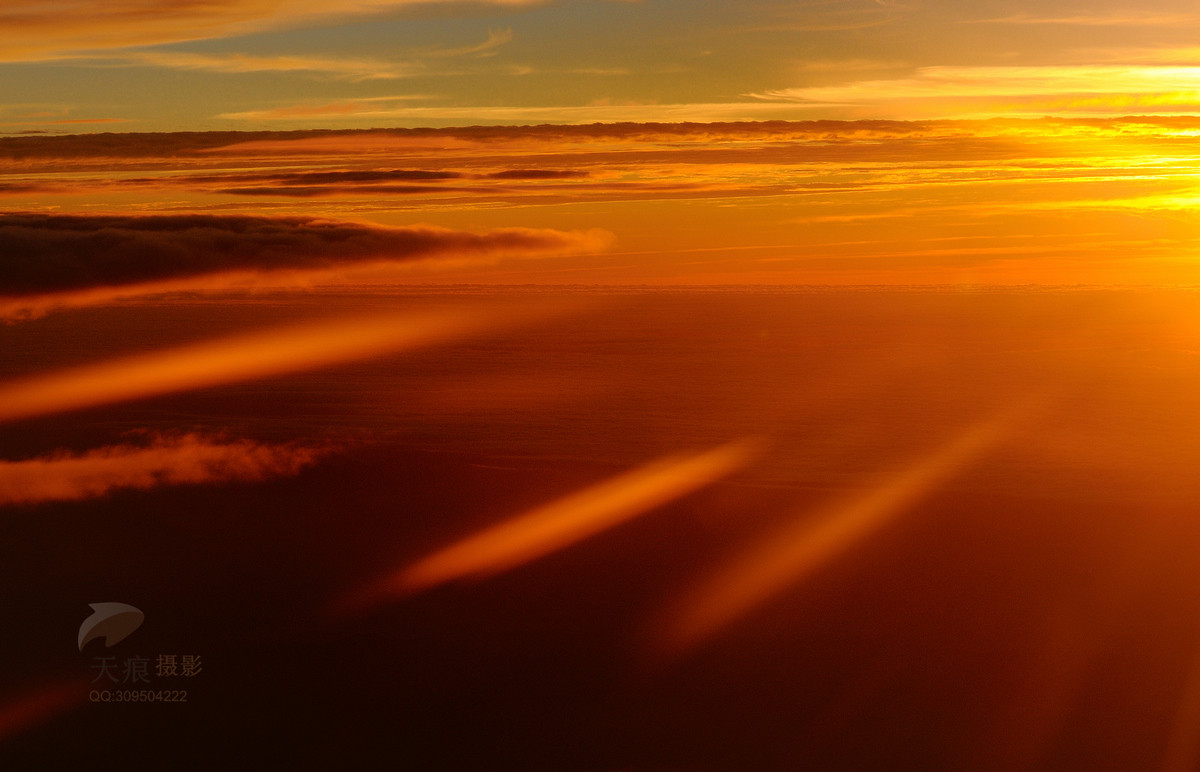 飞机上的日出