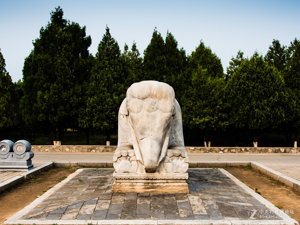 镜头里第44号清东陵孝陵顺治石像生