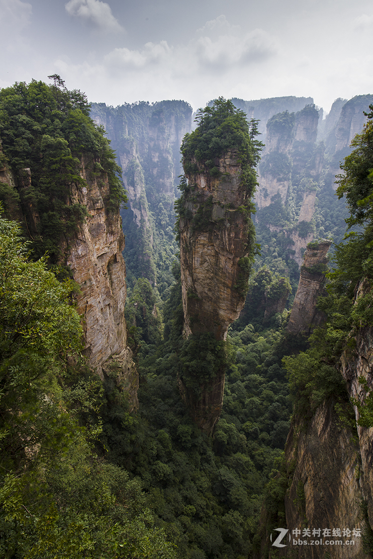 张家界的山