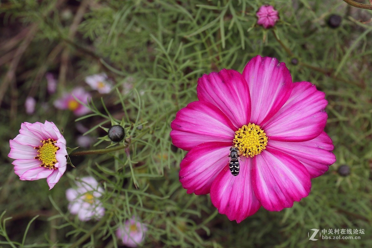 #佳能月赛-金秋十月#十月的色彩(二)