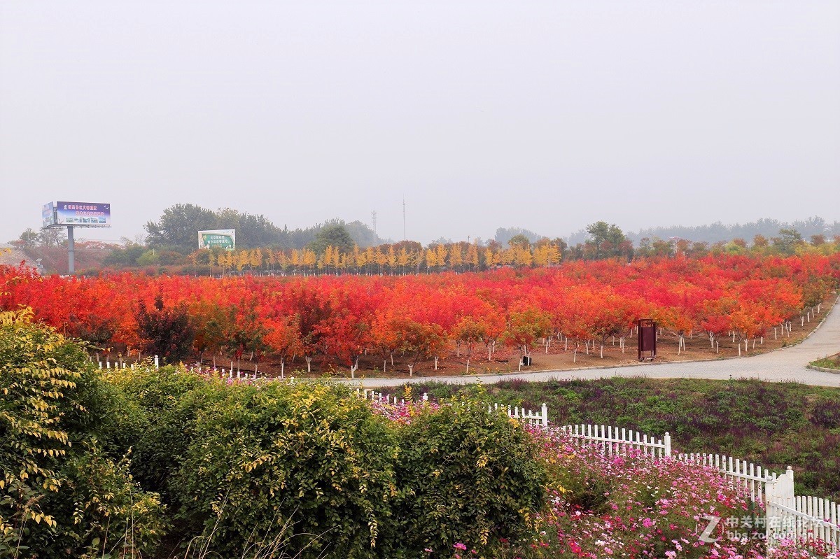 #佳能月赛-金秋十月#十月的色彩(二)