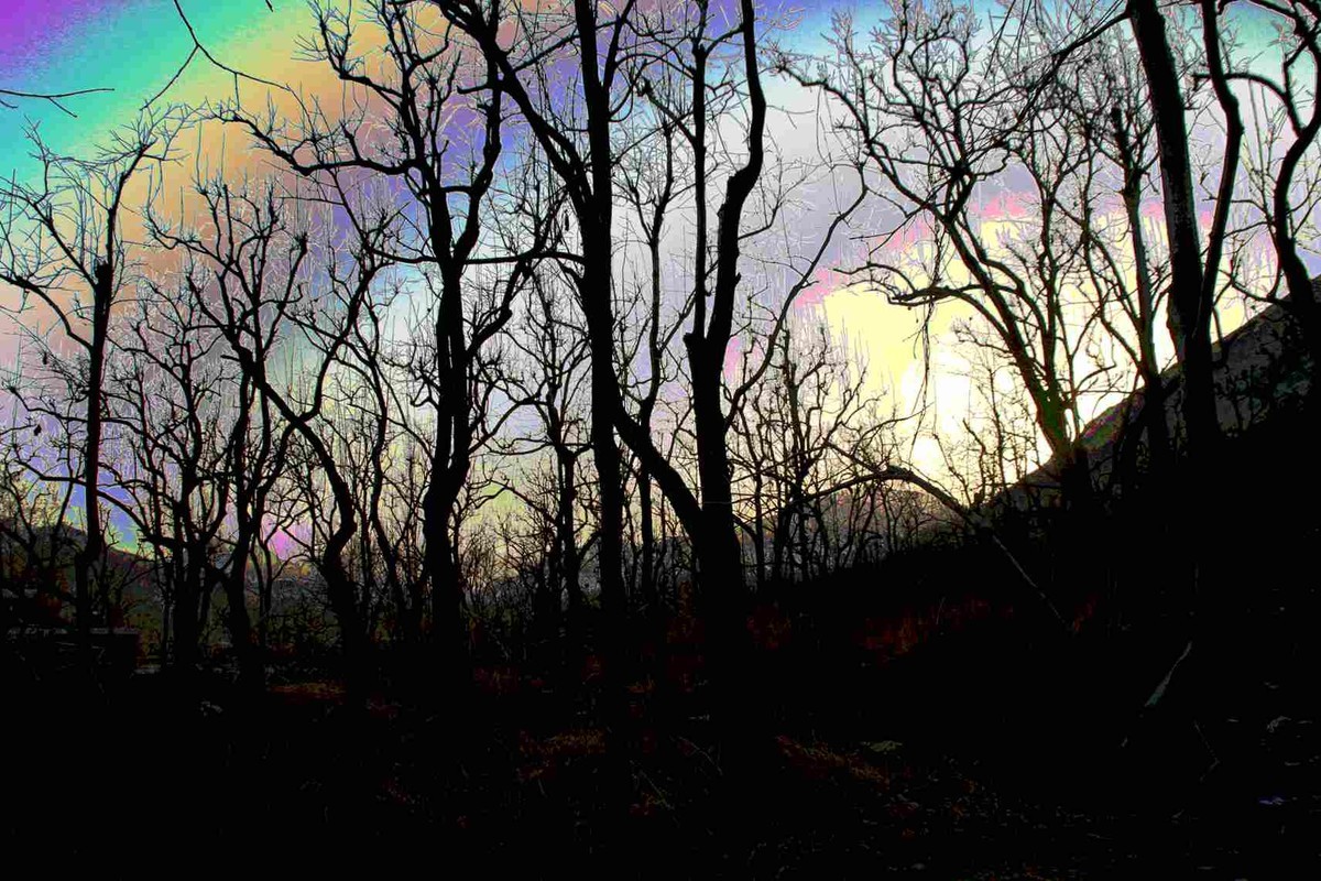 马中文达思-神星柿子沟系列