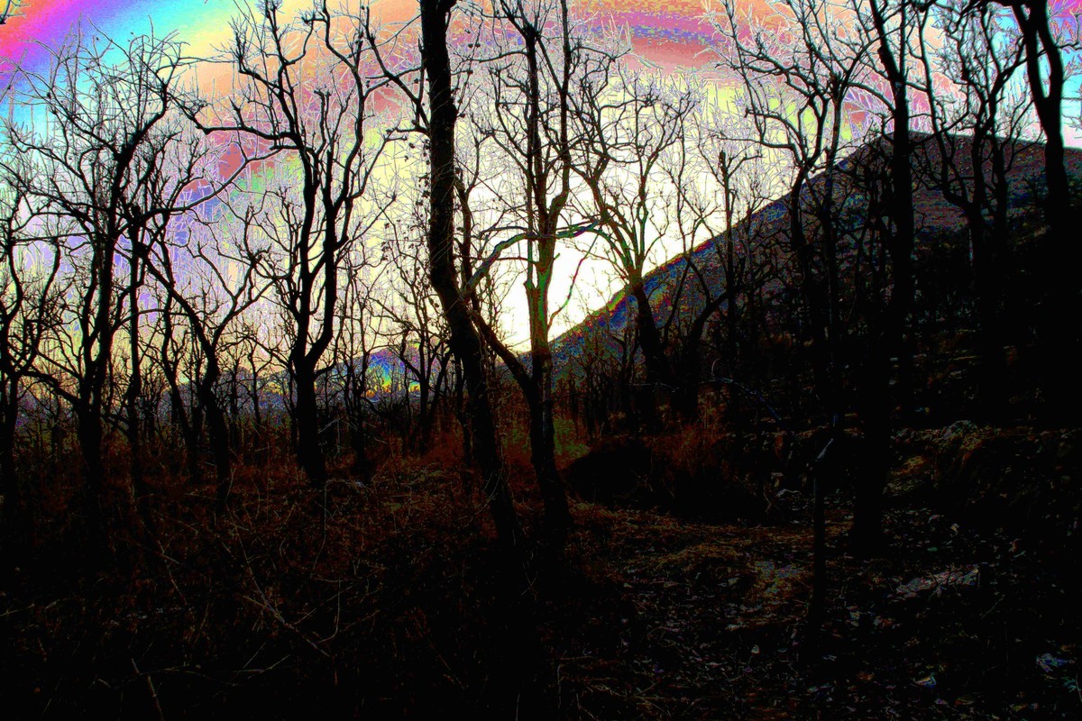 马中文达思-神星柿子沟系列