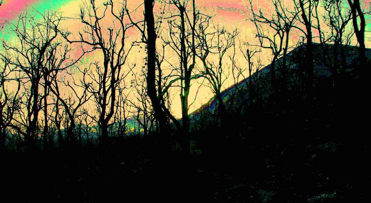 马中文达思-神星柿子沟系列