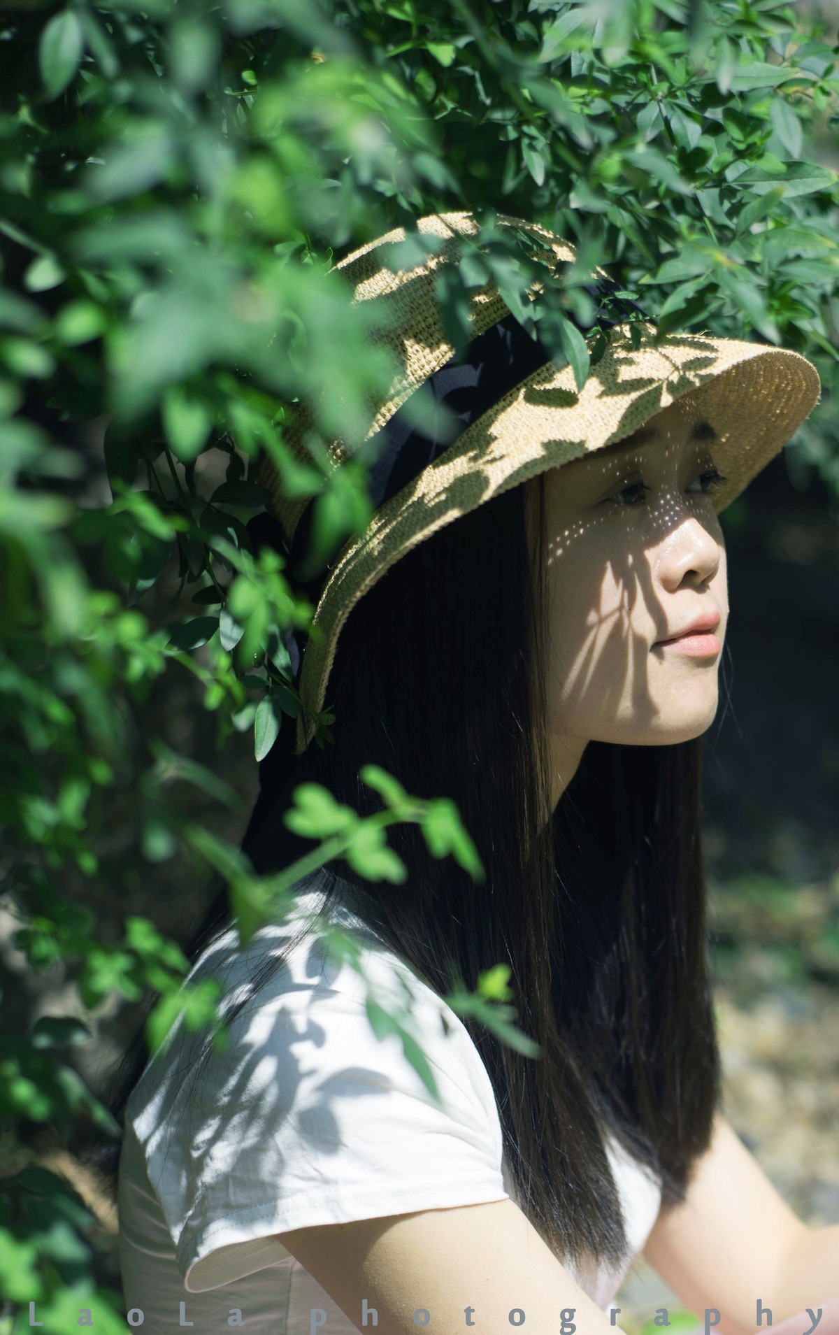 春天的思念 --- D750+ 50 1.8D