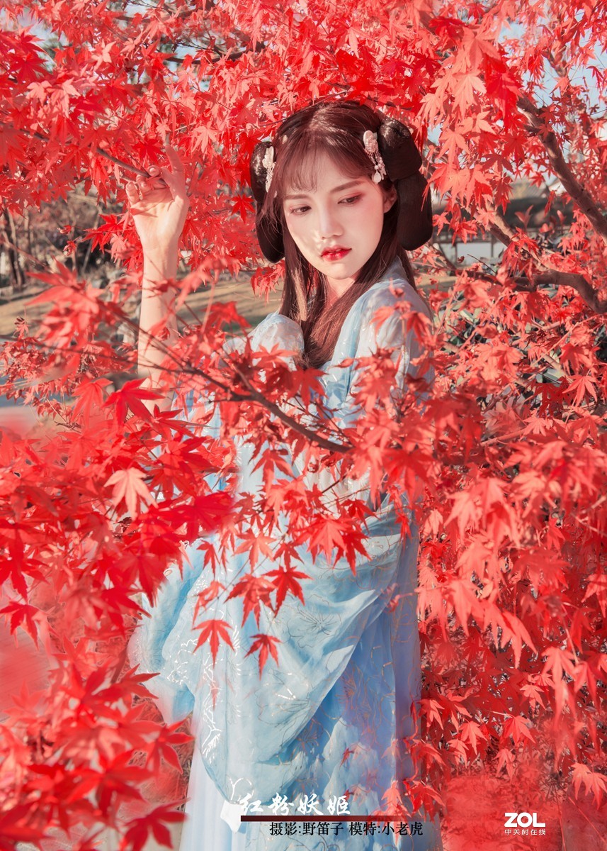 红粉妖姬