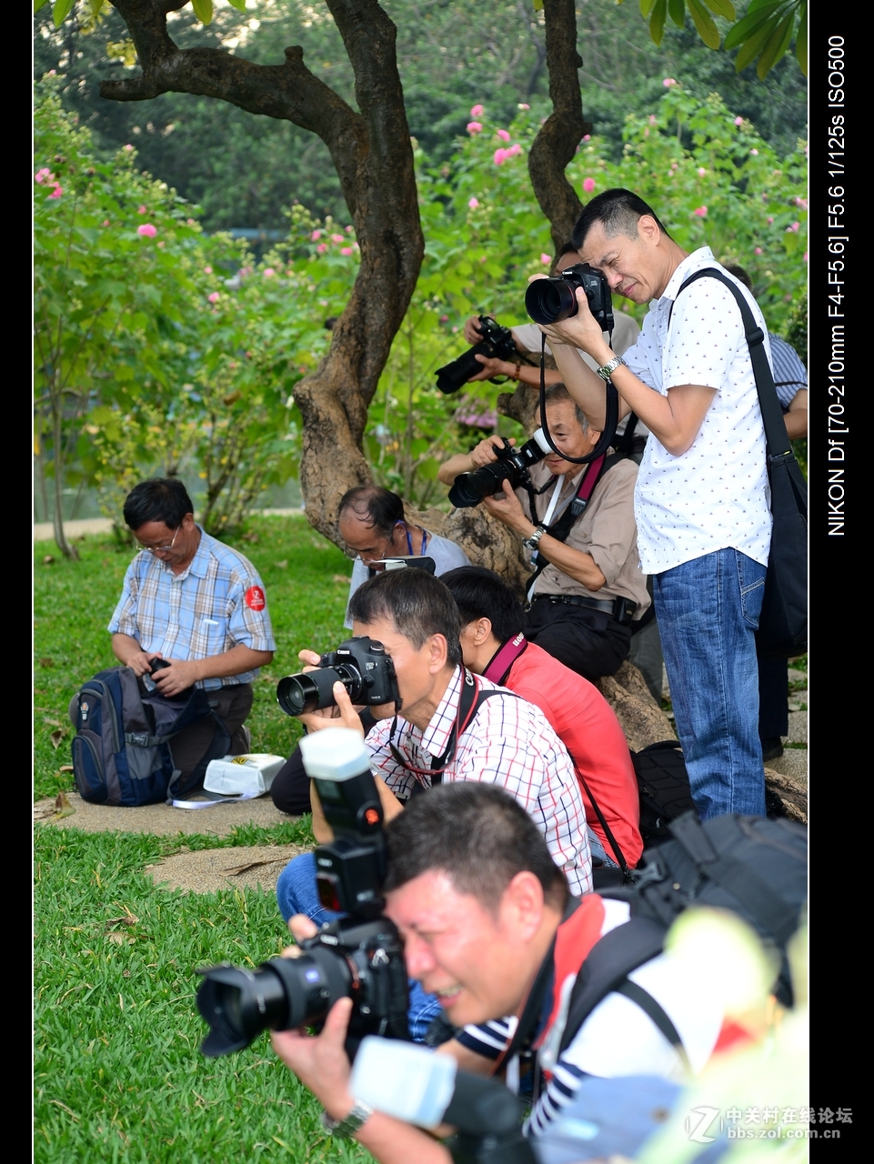 【‘精彩秀尼康’广州站集体参展及外拍活动】-----作业。